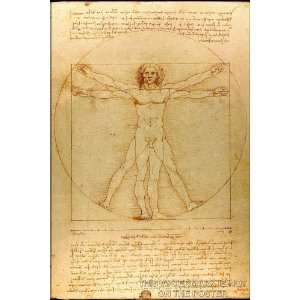  Vitruvian Man, by Leonardo da Vinci   24x36 Poster 