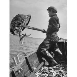  Boy Working Feverishly to Fill His Dory with Fish 