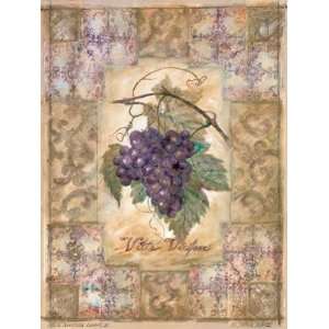  Vitis Vinifera Grape II, Fine Art Canvas Transfer by Shari 
