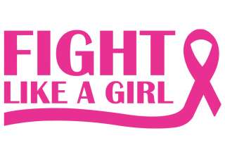 Fight Like A Girl Pink Decal Sticker Car Home Window  