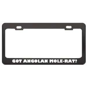 Got Angolan Mole Rat? Animals Pets Black Metal License Plate Frame 