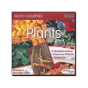   Plants Multiplatform JPG Format Popular High Quality