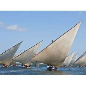  Kenya; Mashua Sailing Boats Participating in a Race Off Lamu 