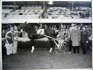 BAY MEADOWS, CA~1951 HARNESS HORSE RACE~ VISALIA  