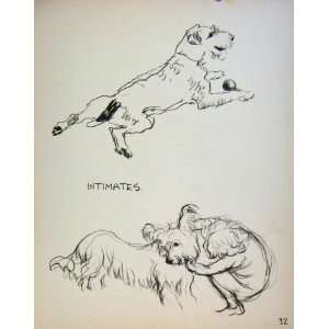   Important People By Dowd Intimates Dogs Friends Sketch