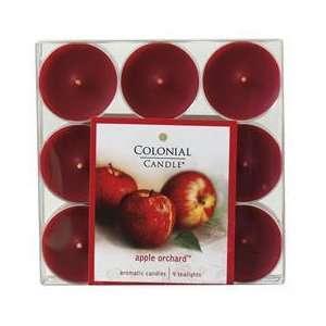  Apple Orchard Colonial Candle Tealights