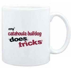   Mug White  MY Catahoula Bulldog DOES TRICKS  Dogs