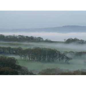  Mist Fills the Meadows in April in Devon, England, United 