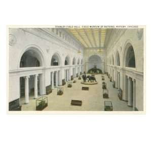  Interior of Field Museum, Chicago, Illinois Giclee Poster 