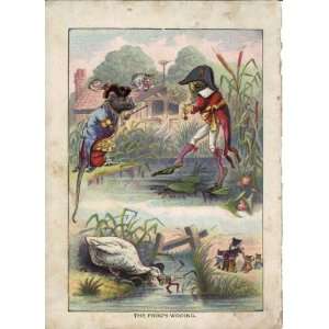   1896 Color Print Of The Frogs Wooing 5 1/4 X 7 1/2 