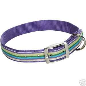  Pretty Paisley Purple Haze Stripe Dog Collar 1x14 18 