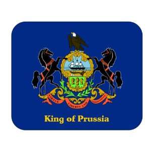 US State Flag   King of Prussia, Pennsylvania (PA) Mouse 