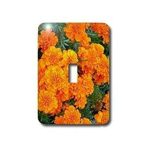 Flowers   Marigolds   Light Switch Covers   single toggle switch
