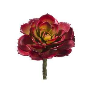  Faux 5.75 Cabbage Echeveria Pick Burgundy (Pack of 12 