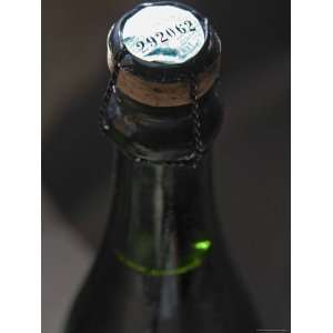  Close up of Red Sparkling Wine, Bodega Pisano Winery 