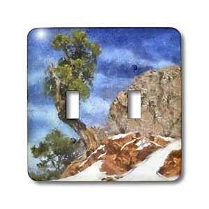   Bristlecone Pine   Light Switch Covers   double toggle switch