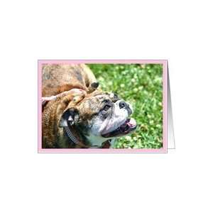 English Bulldog Card