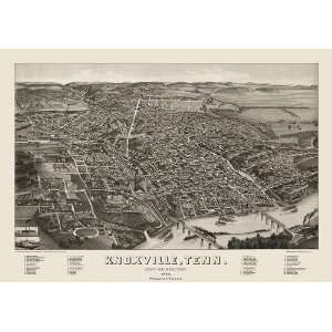 Antique Birds Eye View Map of Knoxville, Tennessee (1886) by H 