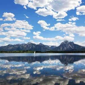  Hopfensee Mit Neuschwanstein   Peel and Stick Wall Decal 