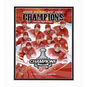  Detroit Red Wings 2009 NHL Stanley Cup Champions 8 x 10 