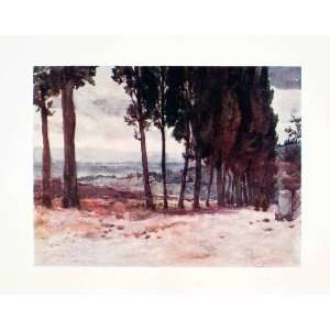  1905 Color Print Tuscany Italy Cypress Tree Avenue Road 
