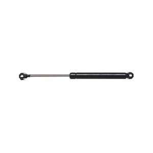  Avm Ind 95013 Lift Support Automotive