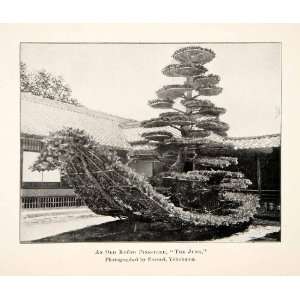  1902 Print Kyoto Pine Tree Junk Land Boat Topiary 