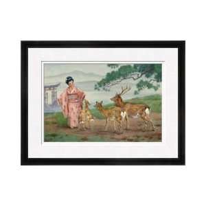  Sika Deer Beg For Food From A Japanese Woman Framed Giclee 