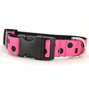 X Large Black & Pink Mod Dot Dog Collar 1 wide, adjusts 