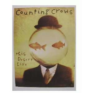 Counting Crows Poster the