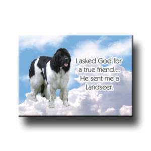 LANDSEER True Friend From God FRIDGE MAGNET New DOG  