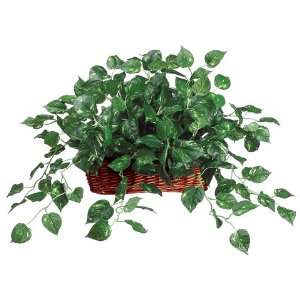  Pothos Silk Plant and Greenery  Set of 4 Greenery Plants 