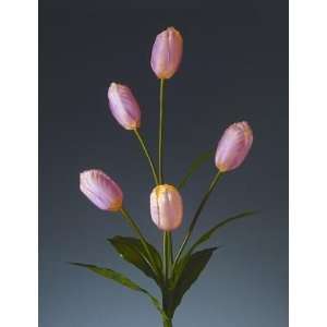   Pink Tulip Battery Operated LED Lighted Branch with Timer (5 Lights