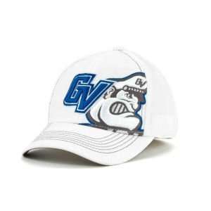  Grand Valley State Lakers Top of the World NCAA Big Ego 