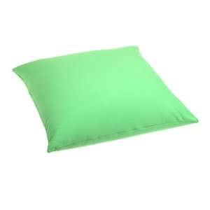 Pem America Cool 16 Inch Bead Filled Pillow, Green 
