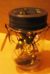 Firefly Fantasy Country Lightening Bug Jar Light New  