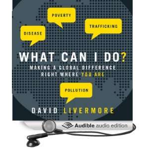   You Are (Audible Audio Edition) David Livermore, Tom Parks Books
