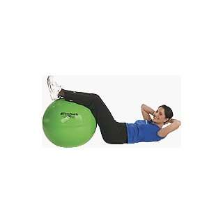  Thera Band Standard Exercise Ball Silver Health 