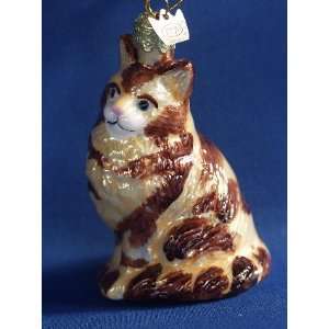  Maine Coon Cat Glass Ornament