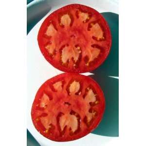    Organic Super Sioux Slicing Tomato Plant Patio, Lawn & Garden