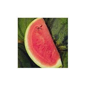  Malali Watermelon   1 oz.