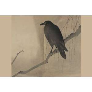  Crow on a willow branch 20x30 Poster Paper