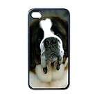 St. Saint Bernard Dog Puppy Puppies #2 Apple iPhone 4 Case Cover