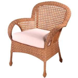   , All Weather Outdoor Wicker Cushion Dining Chair