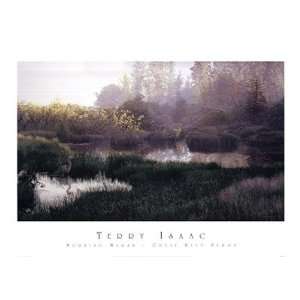 Morning Marsh Great Blue Heron Finest LAMINATED Print Terry Isaac 