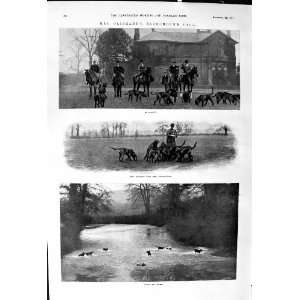  1900 Oliphant Bloodhound Pack Chatley Hunting Dogs Farlegh 