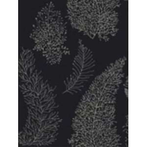   Wallpaper York By the Sea All Over Coral Spot AC6028