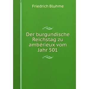   Reichstag zu ambÃ©rieux vom Jahr 501 Friedrich Bluhme Books
