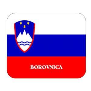  Slovenia, Borovnica Mouse Pad 