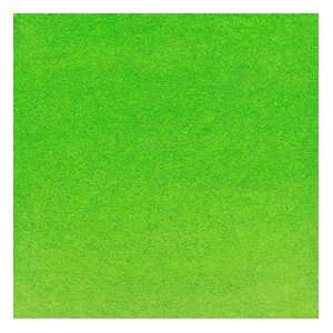   Colors Bright Yellow Green (Opaque) 1 fl oz Arts, Crafts & Sewing